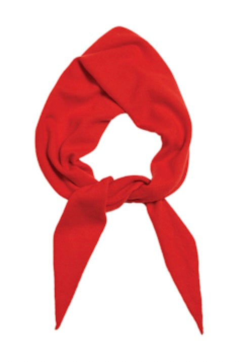 Nessa Small Cashmere Bandana - Scarlet