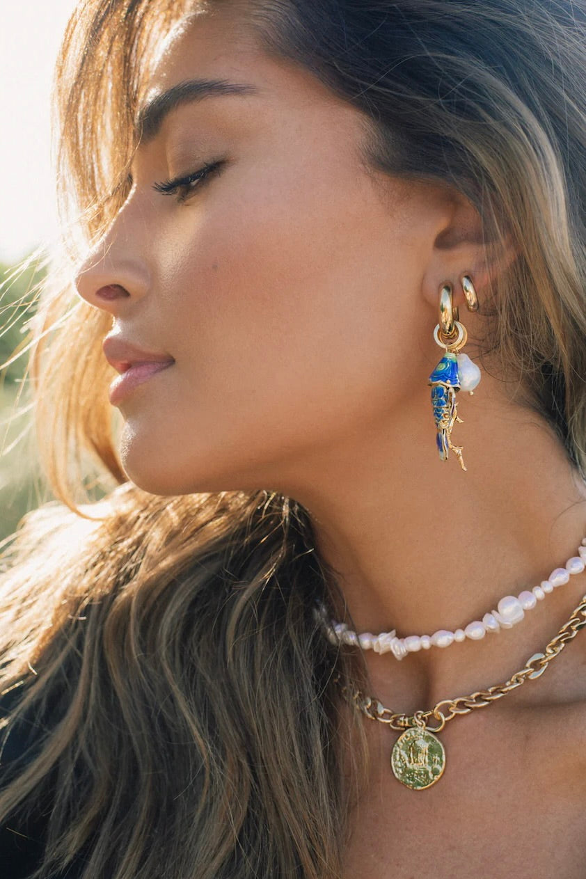 Barrier Earrings