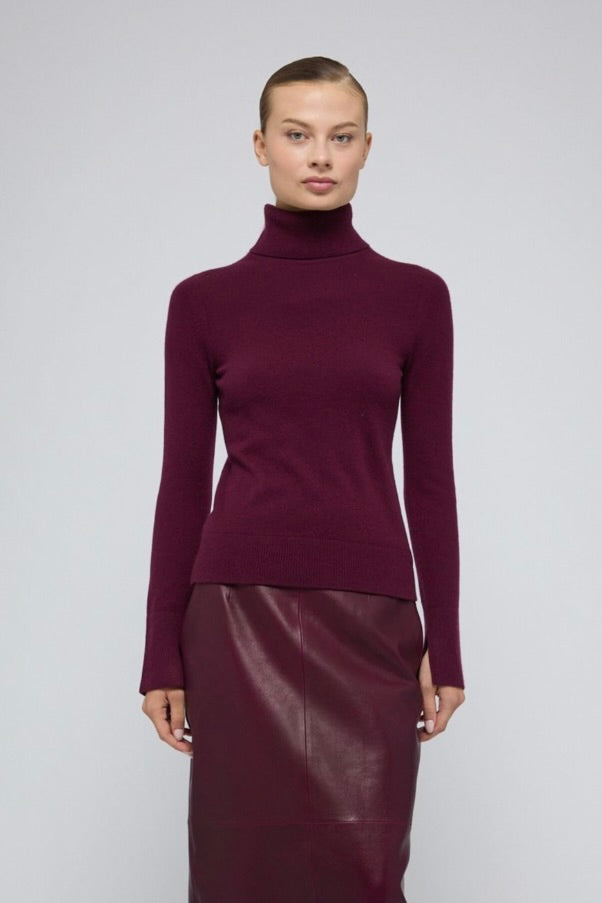 Fenwick Turtleneck