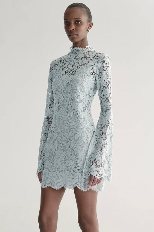 Eden Lace Mini Dress