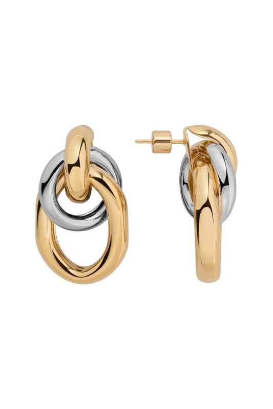 Two Tone Ami Earrings
