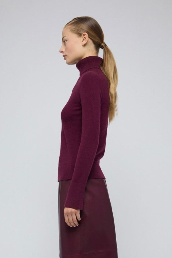 Fenwick Turtleneck