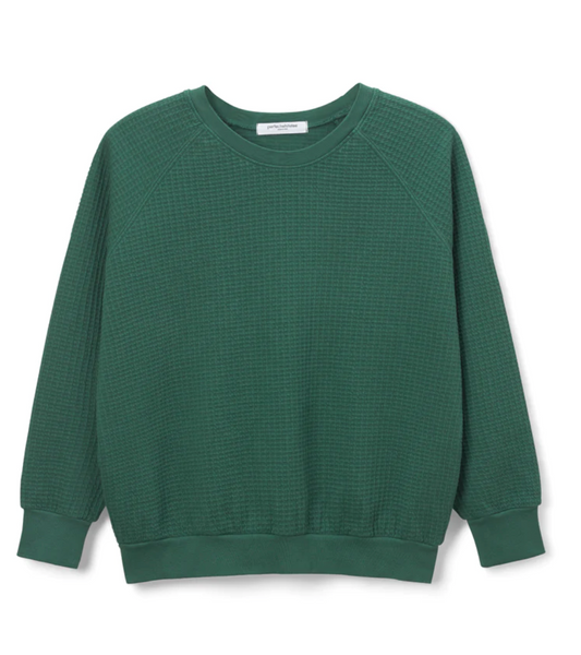 Perfect White Tee - Thom Crewneck - Evergreen