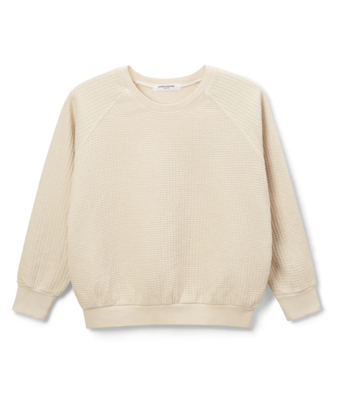 Perfect White Tee - Thom Crewneck - Sugar