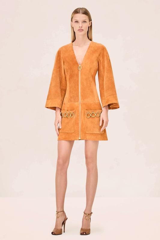 Anesa Dress