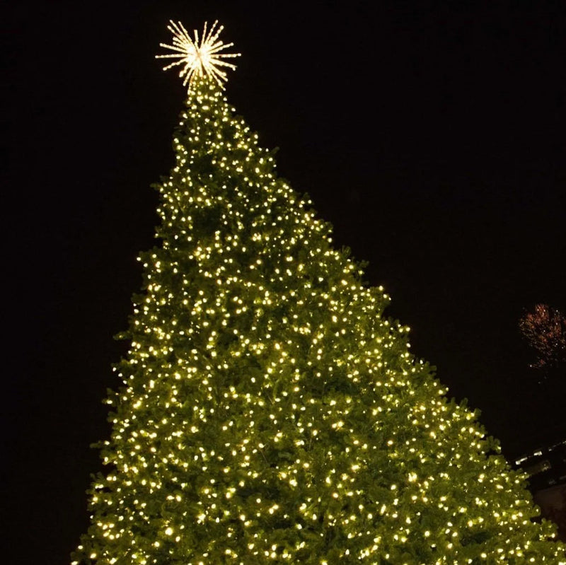 North Hills Tree Lighting